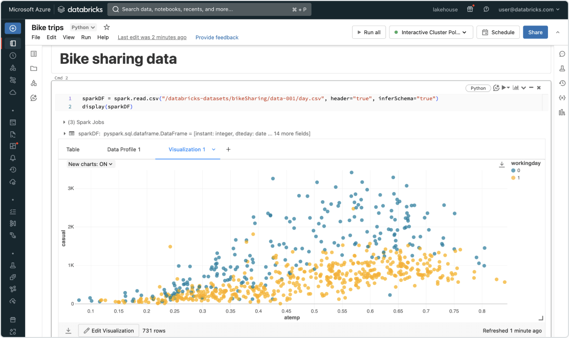 databricks notebook